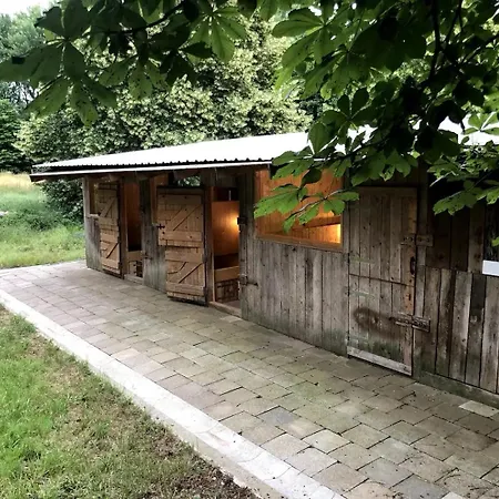 Heuscheune Muehlenhagen * Burow (Mecklenburgische Seenplatte)